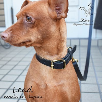 画像1: 小型犬用 中型犬用 本革 リード 日本製 レザー 散歩用 しつけ用 Zenis ゼニス B-0193