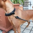 画像13: 小型犬用 中型犬用 本革 リード 日本製 レザー 散歩用 しつけ用 Zenis ゼニス B-0193 (13)
